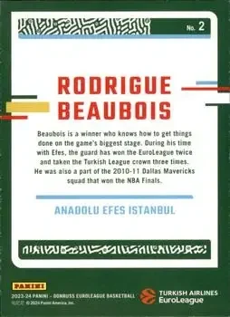 Back of Rodrigue Beaubois