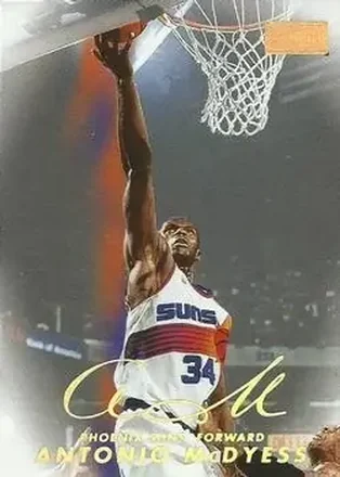 1998-99 SkyBox Premium #8 Antonio McDyess