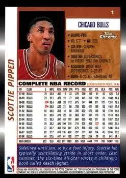 Back of Scottie Pippen