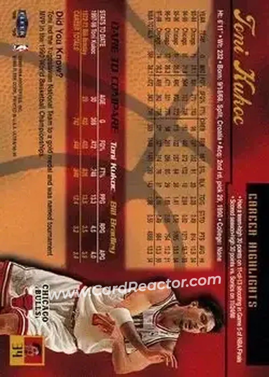 Back of Toni Kukoc