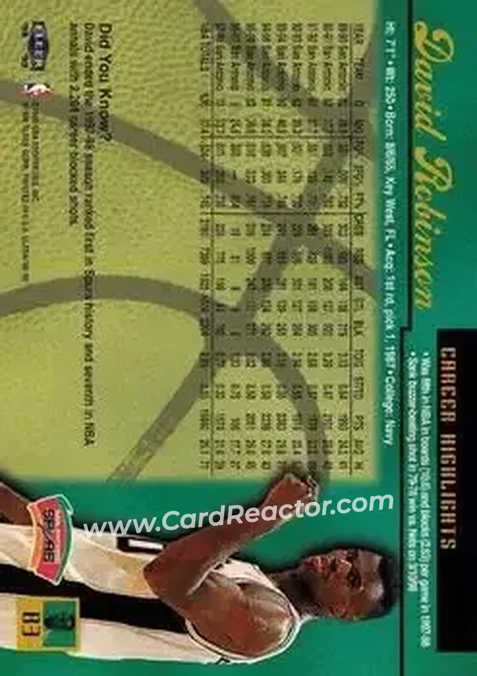 Back of David Robinson
