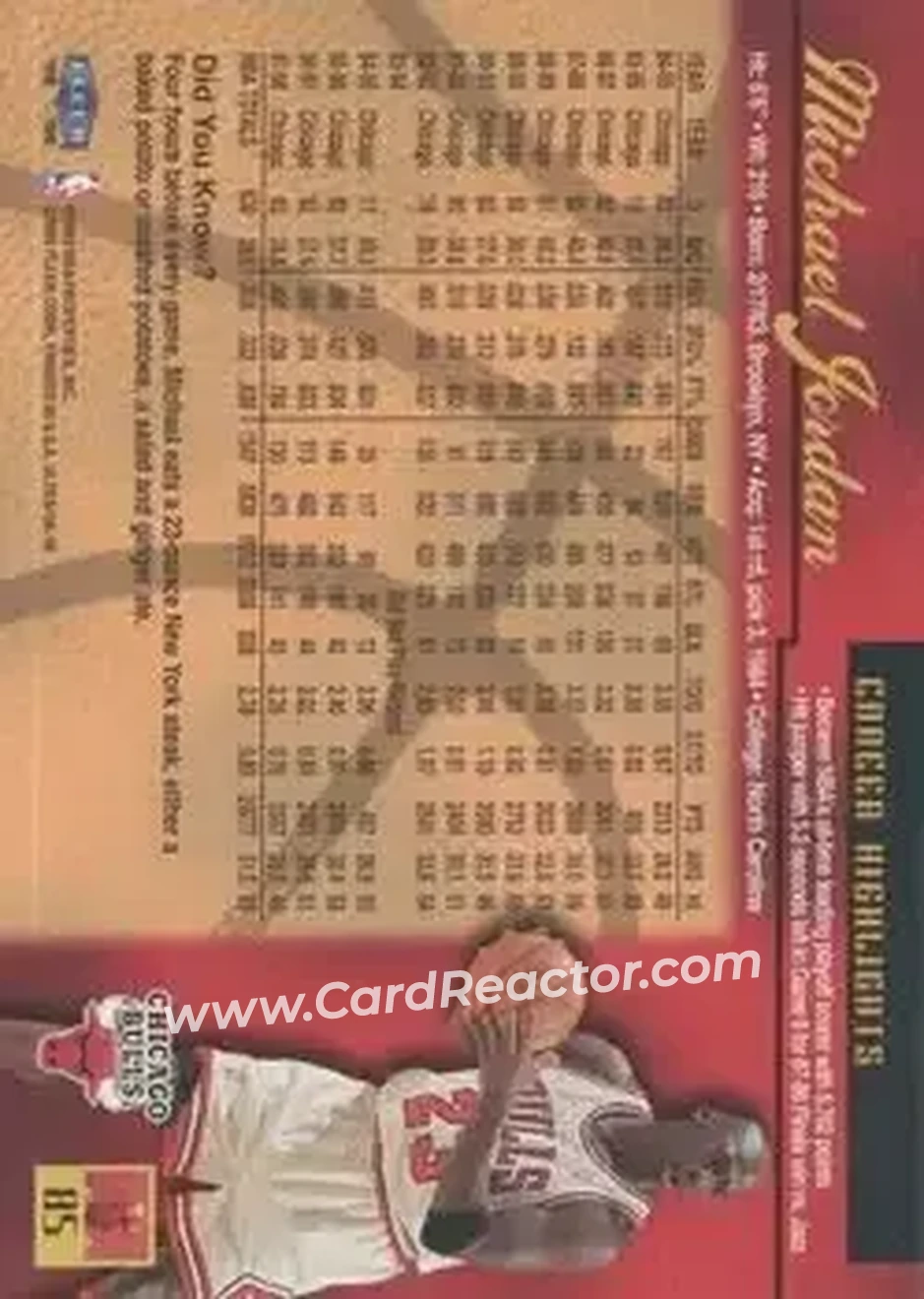 Back of Michael Jordan