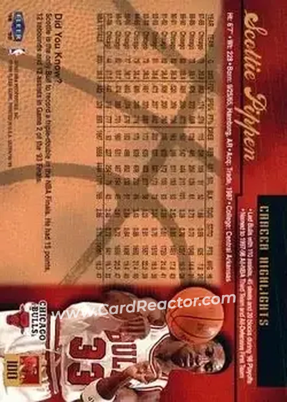 Back of Scottie Pippen