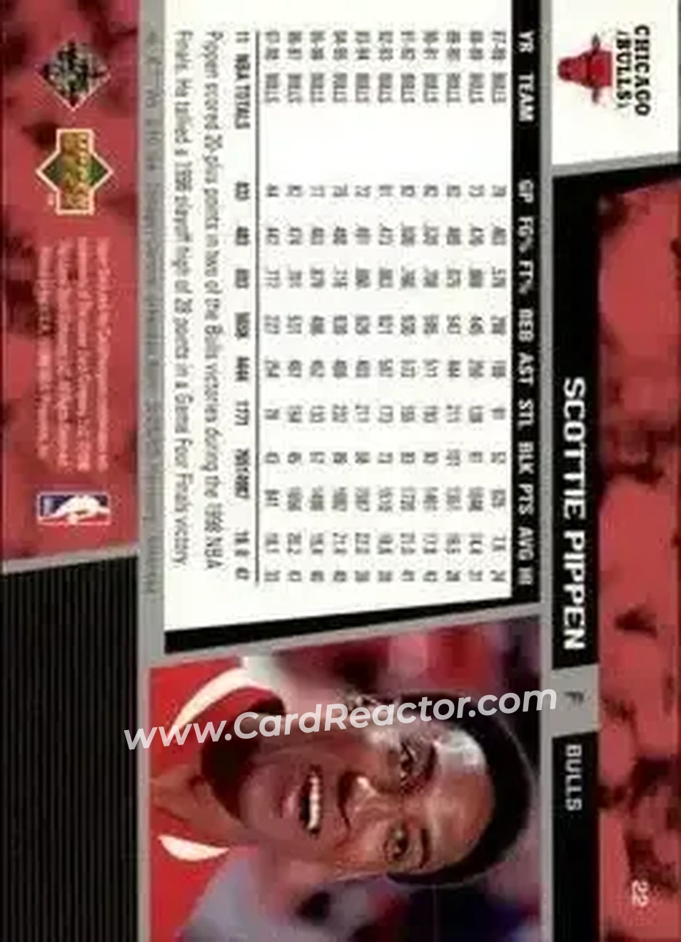 Back of Scottie Pippen