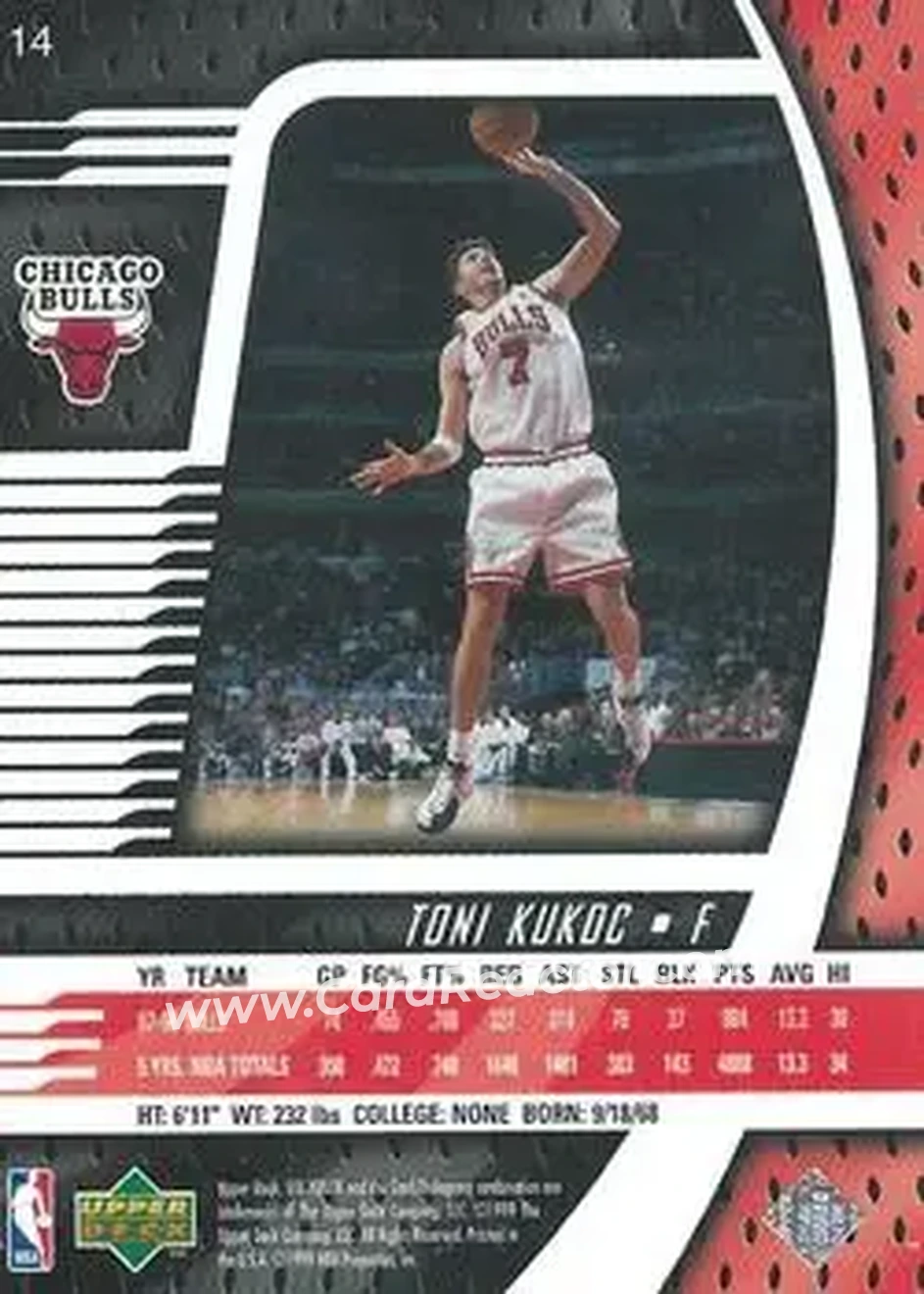 Back of Toni Kukoc