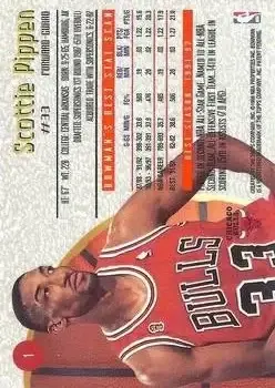 Back of Scottie Pippen