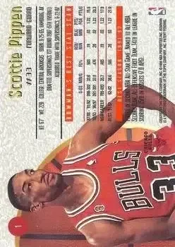Back of Scottie Pippen
