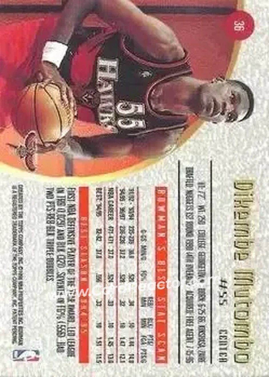 Back of Dikembe Mutombo