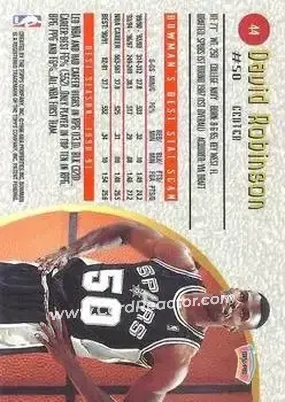 Back of David Robinson