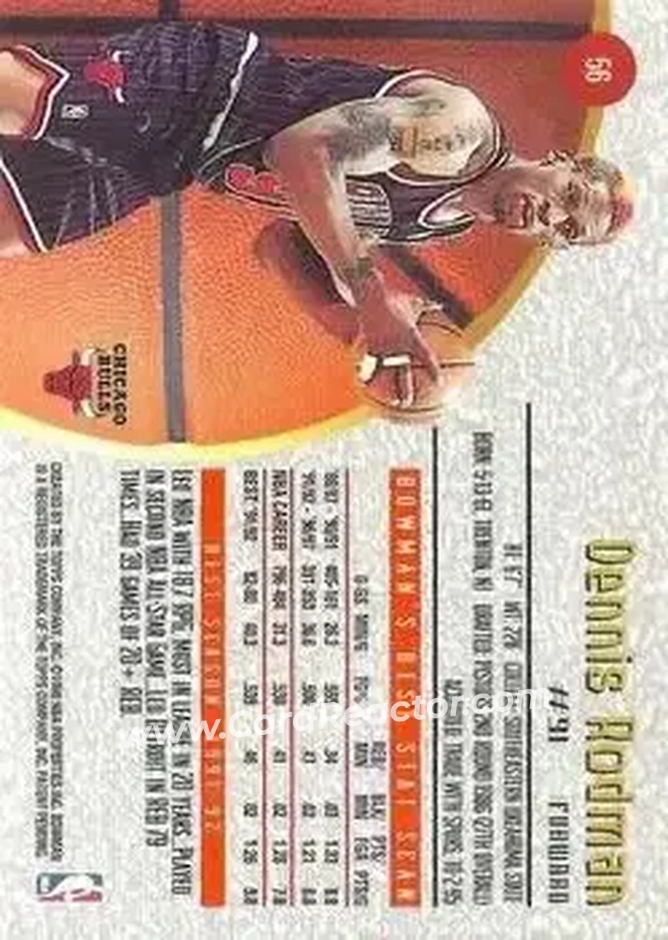 Back of Dennis Rodman