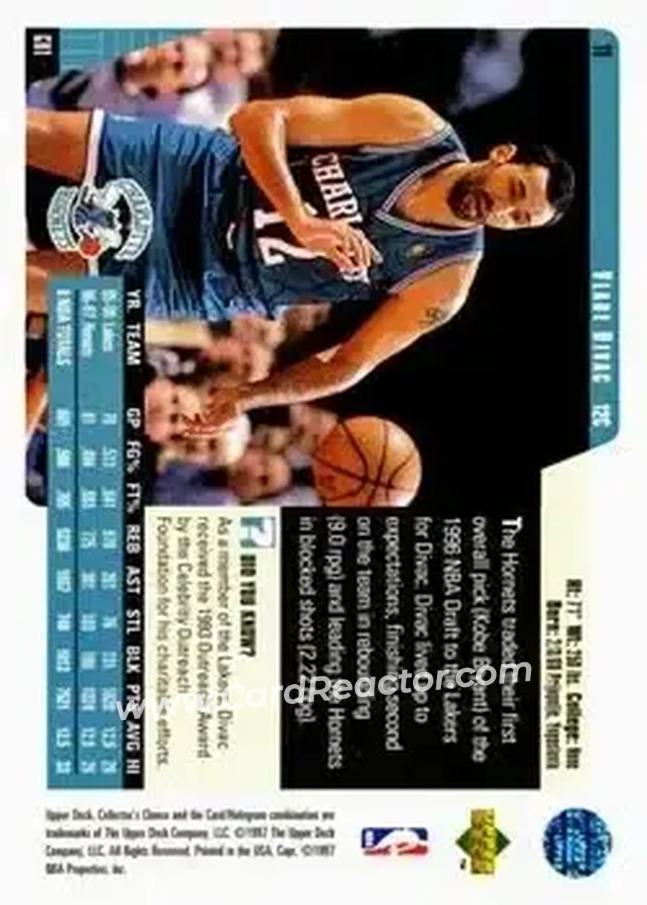 Back of Vlade Divac