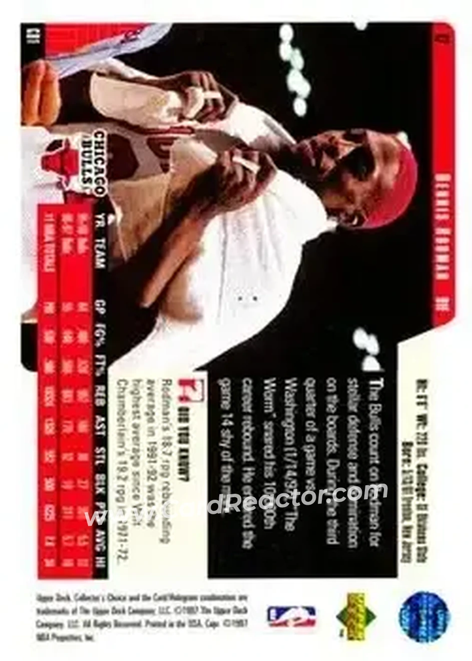Back of Dennis Rodman