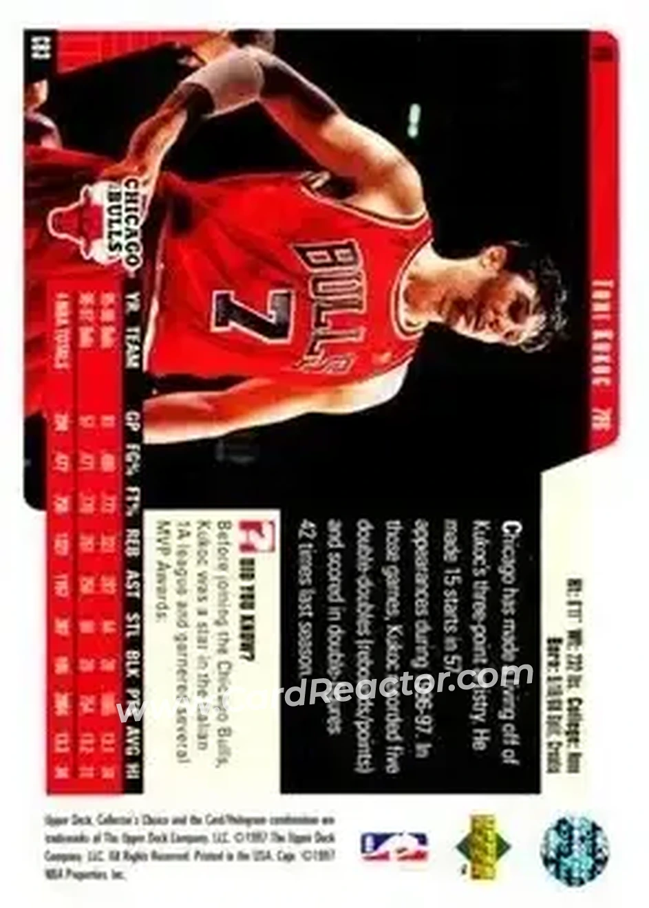 Back of Toni Kukoc