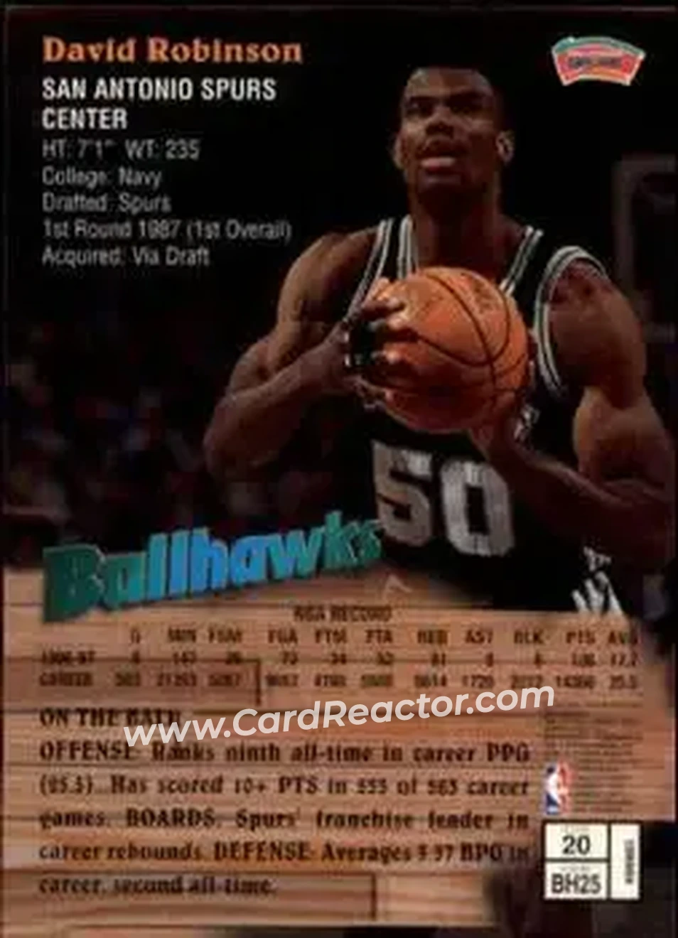 Back of David Robinson