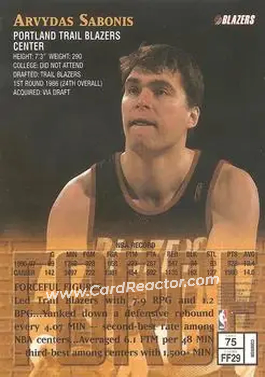 Back of Arvydas Sabonis
