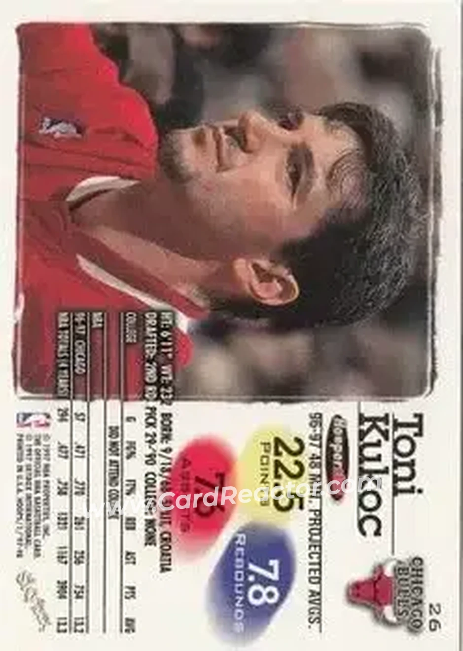 Back of Toni Kukoc