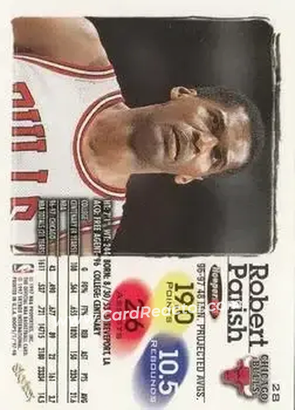 Back of Robert Parish