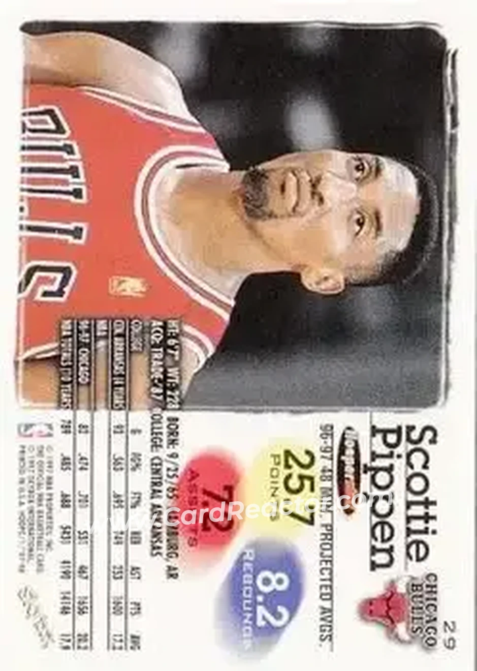 Back of Scottie Pippen