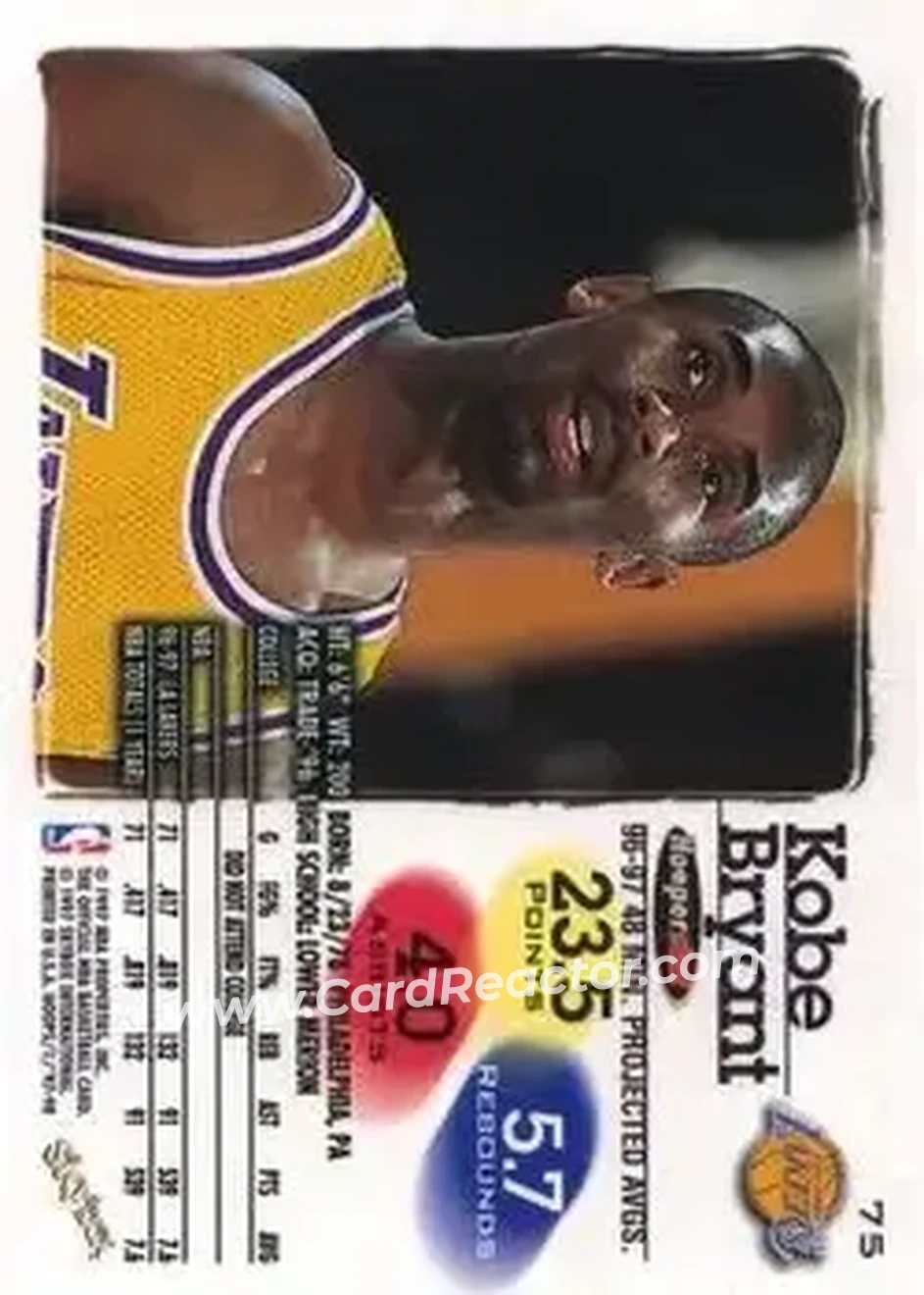 Back of Kobe Bryant