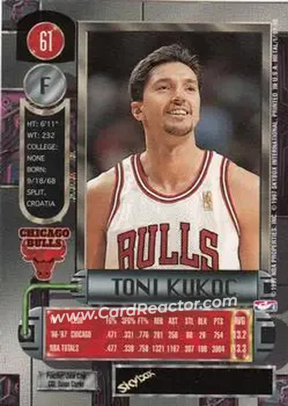 Back of Toni Kukoc