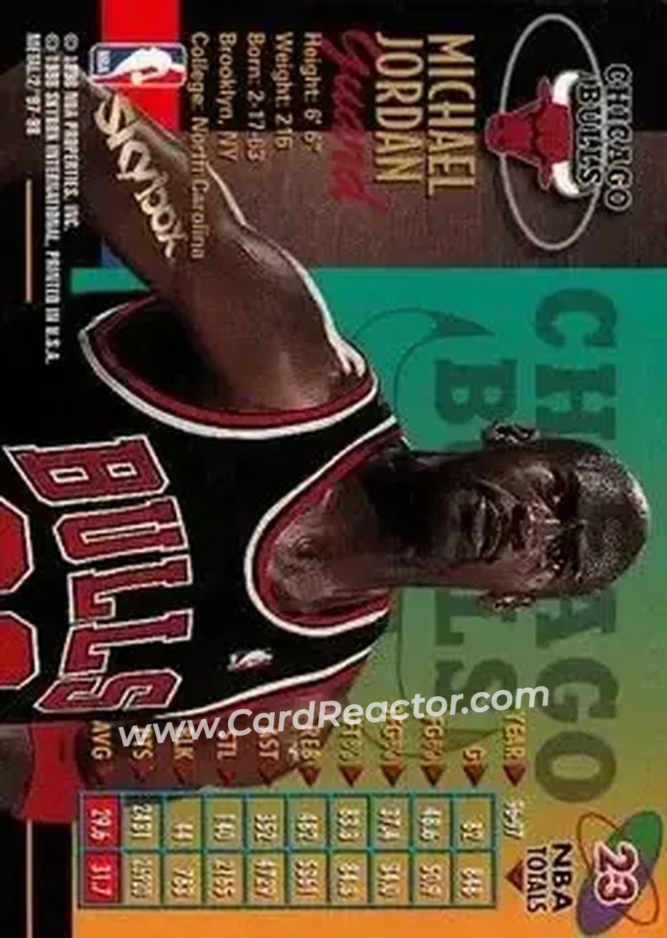 Back of Michael Jordan
