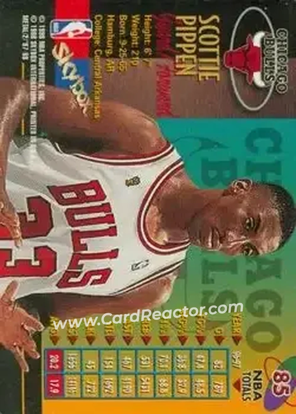 Back of Scottie Pippen