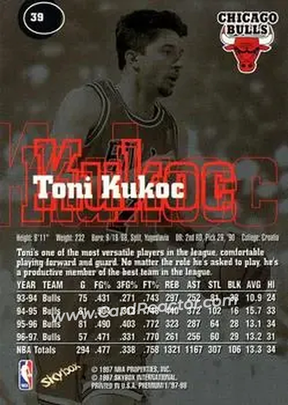 Back of Toni Kukoc
