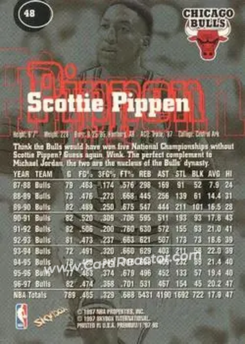 Back of Scottie Pippen