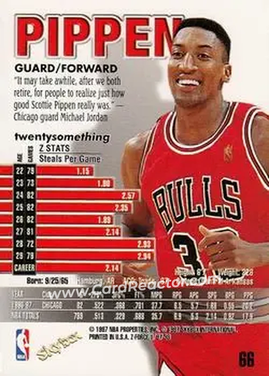 Back of Scottie Pippen