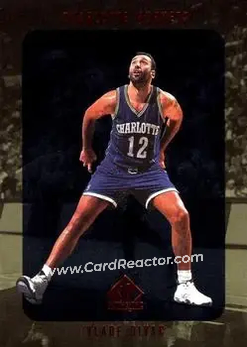 Front of Vlade Divac