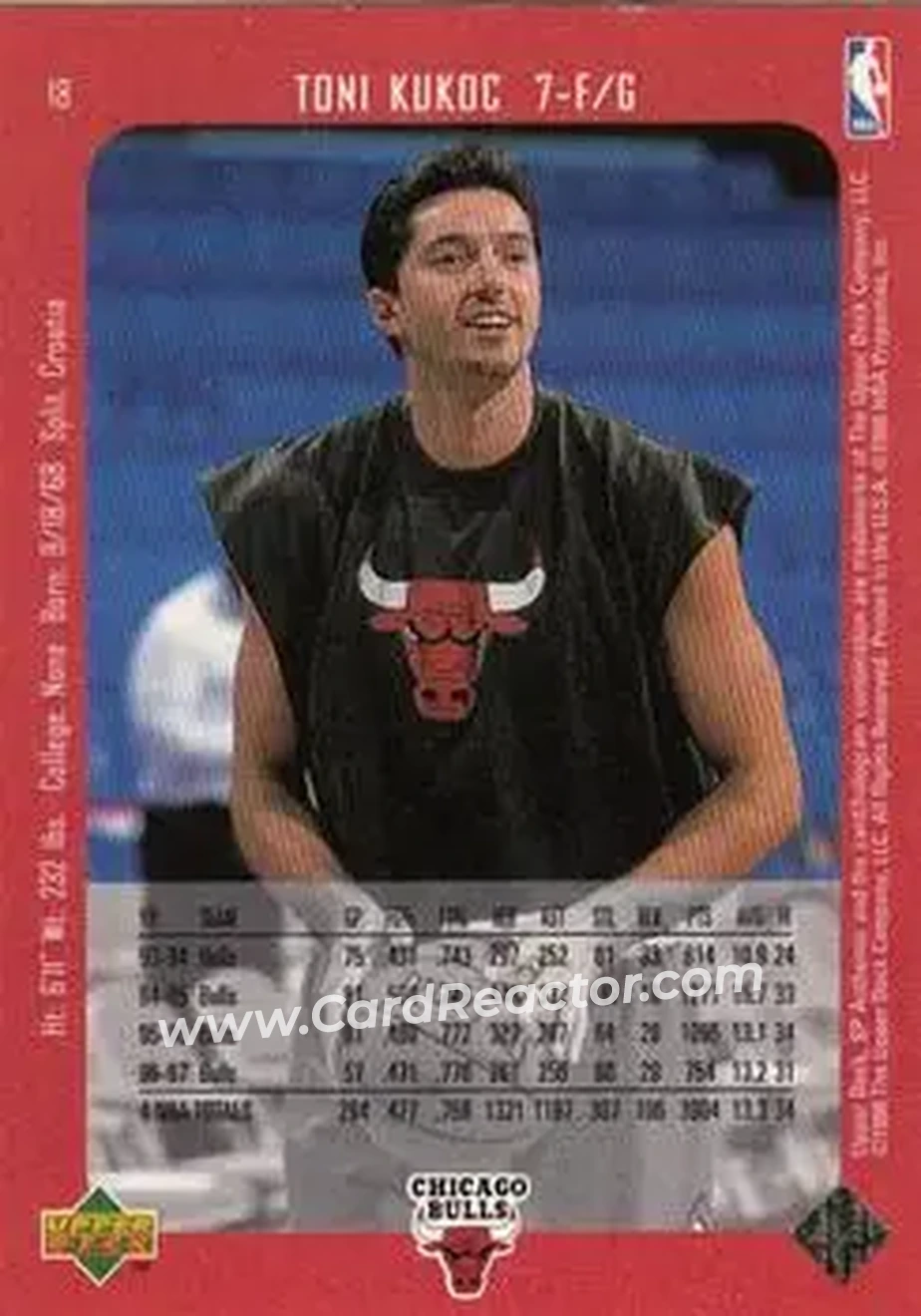 Back of Toni Kukoc