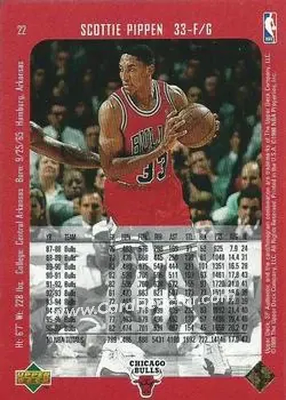 Back of Scottie Pippen