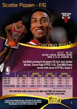 Back of Scottie Pippen