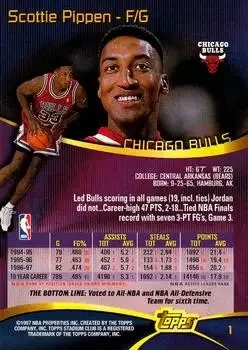 Back of Scottie Pippen