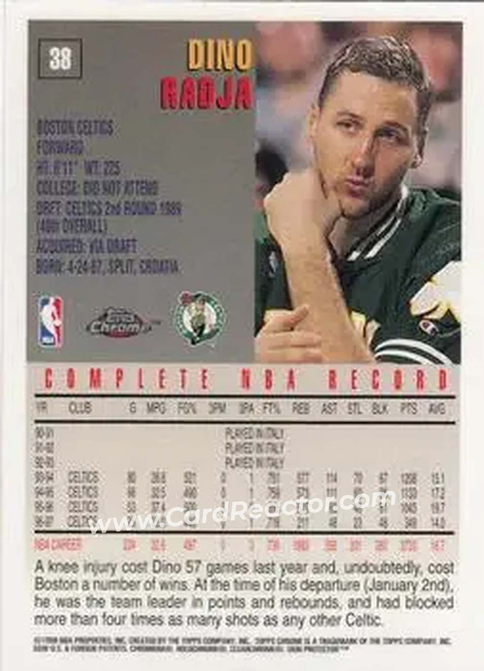 Back of Dino Radja