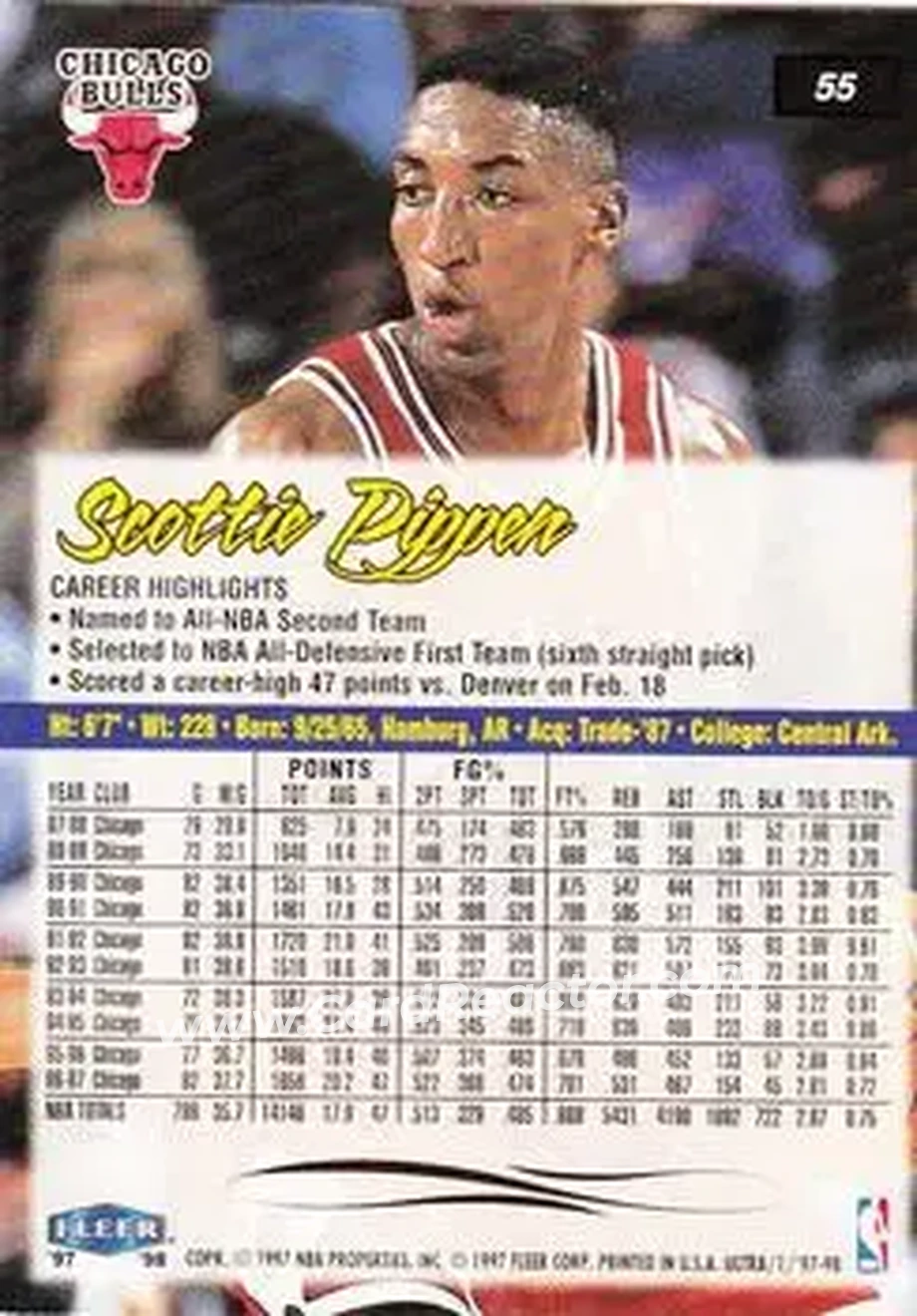 Back of Scottie Pippen