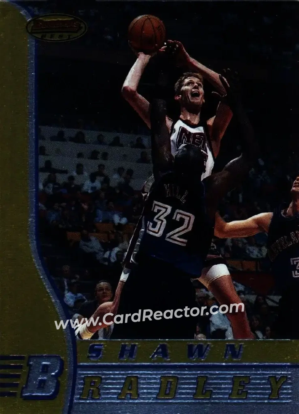 Shawn Bradley
