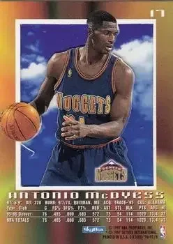 Back of Antonio McDyess
