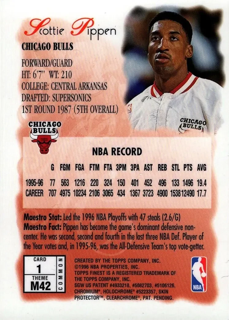 Back of Scottie Pippen