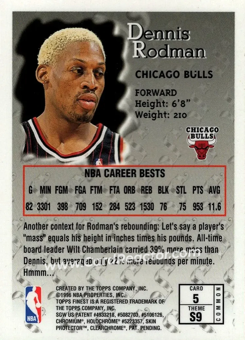 Back of Dennis Rodman