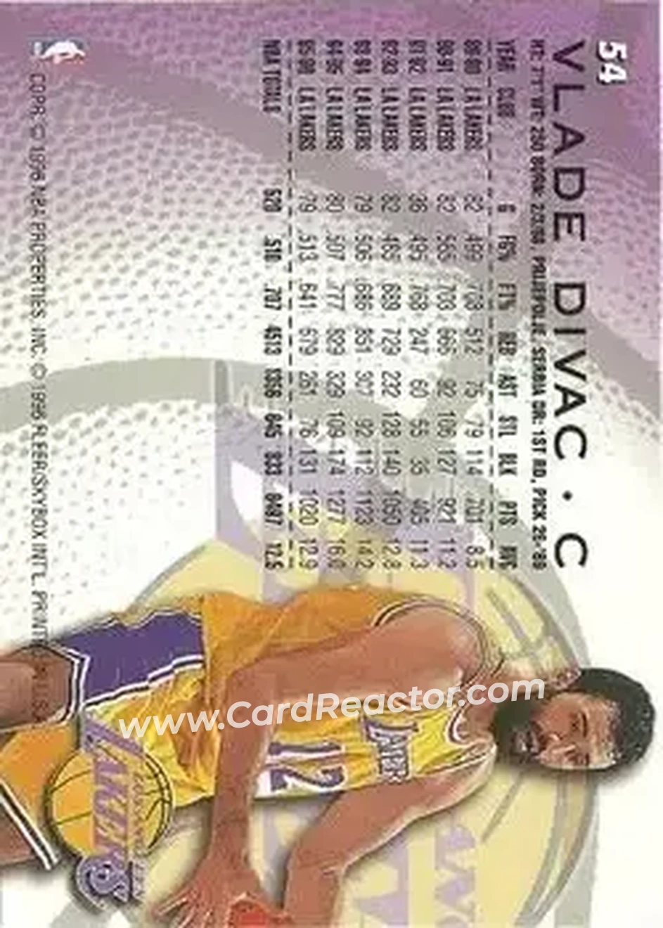Back of Vlade Divac