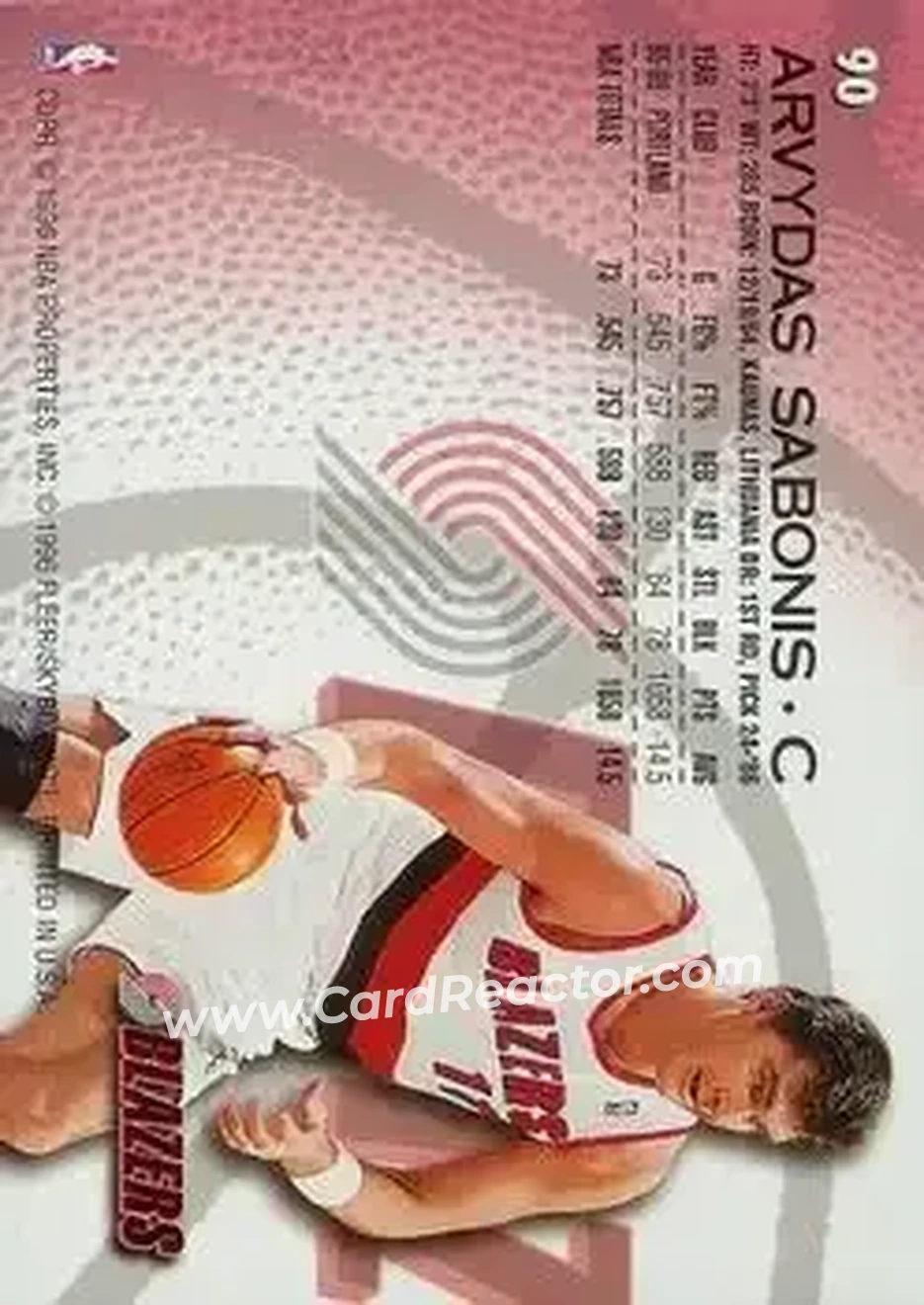 Back of Arvydas Sabonis