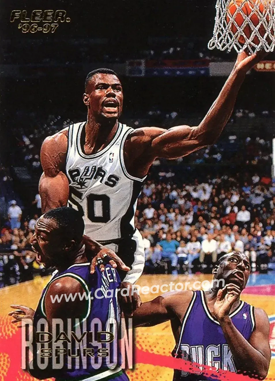 David Robinson