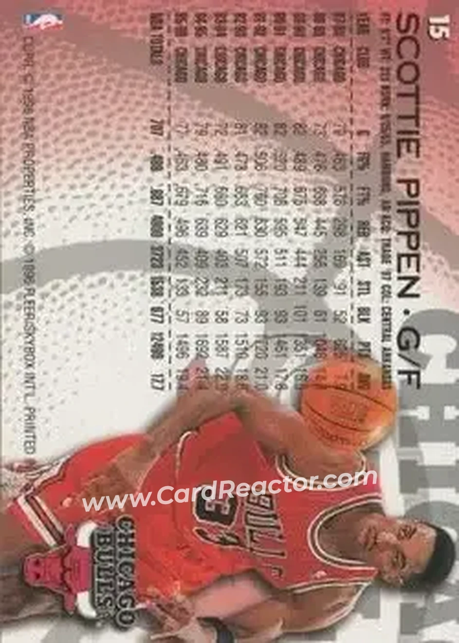 Back of Scottie Pippen
