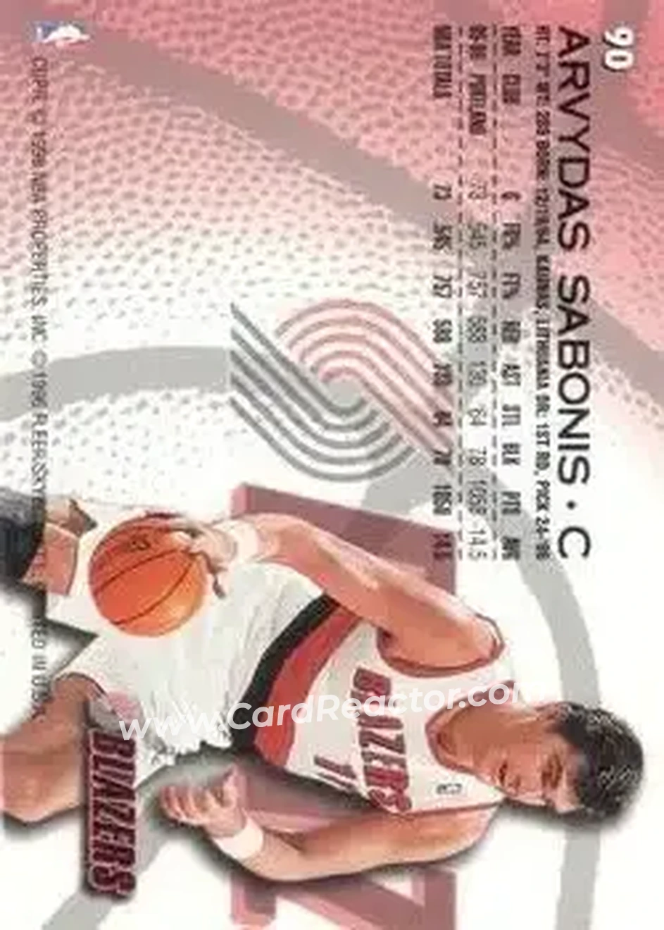 Back of Arvydas Sabonis