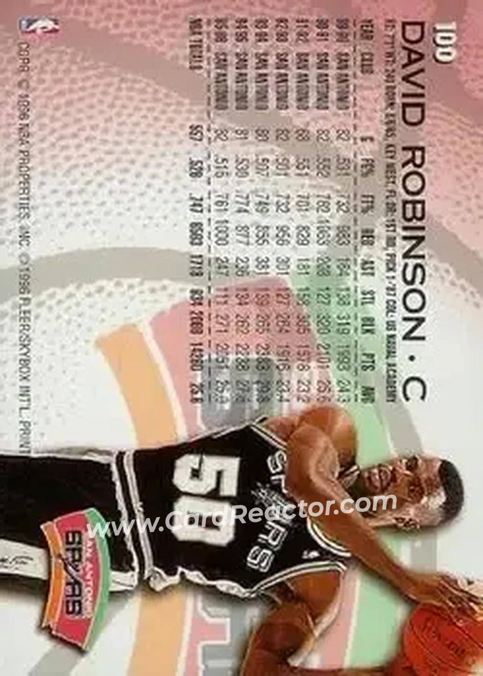 Back of David Robinson