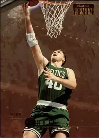 Dino Radja