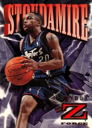 Damon Stoudamire