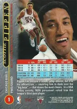Back of Scottie Pippen