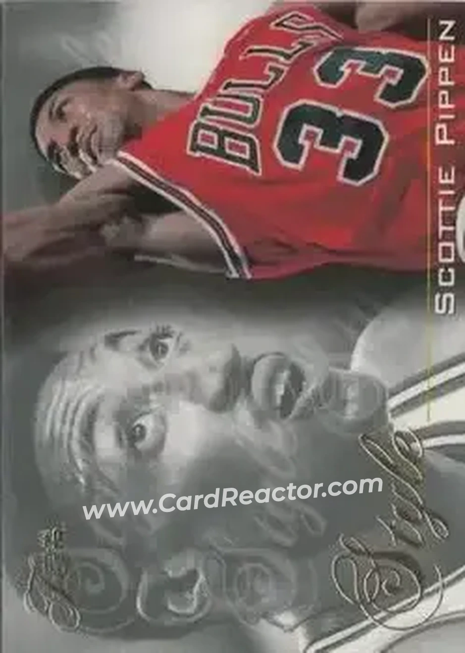 Enlarged card image